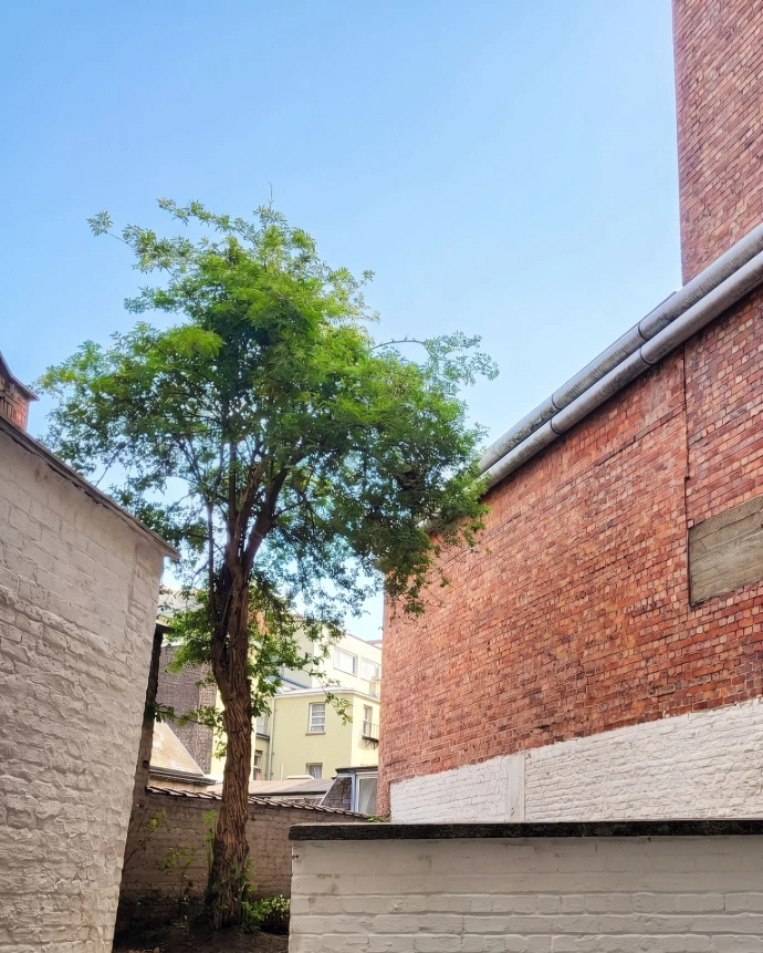 jardin petit marie jardin neuro pensé à ixelles